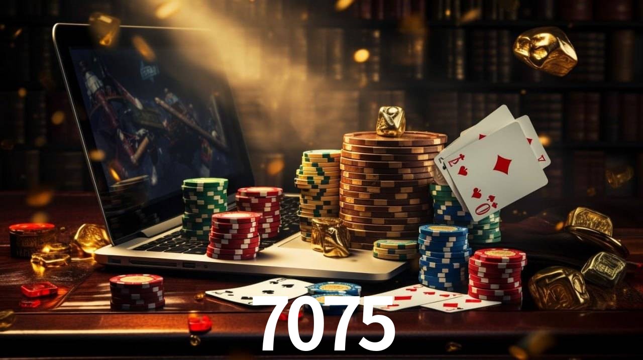 Sistemas de Segurança 7075